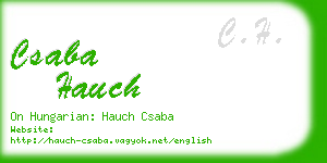 csaba hauch business card